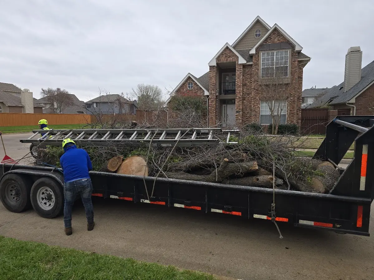 Expert Lot Clearing with proper safety equipment in Lupton